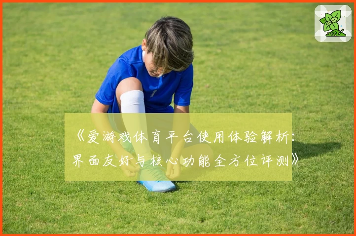 《爱游戏体育平台使用体验解析：界面友好与核心功能全方位评测》